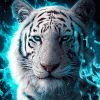 Benutzer Avatar